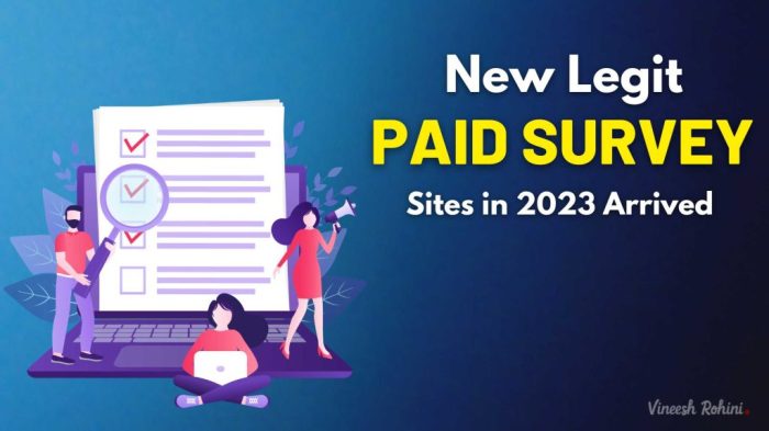 Best paid survey sites 2025