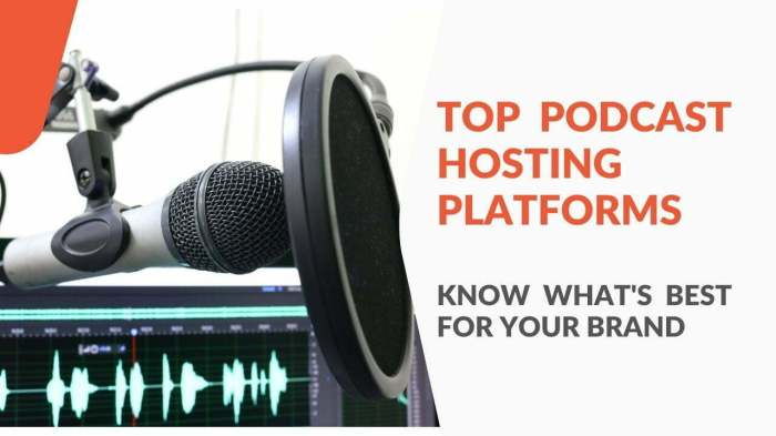 Podcast distribution platforms